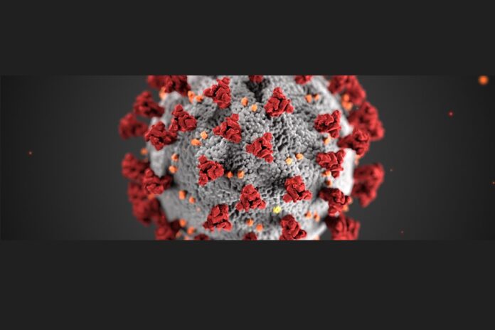 coronavirus coronavirus