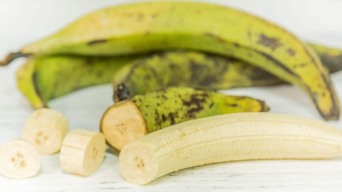 platano