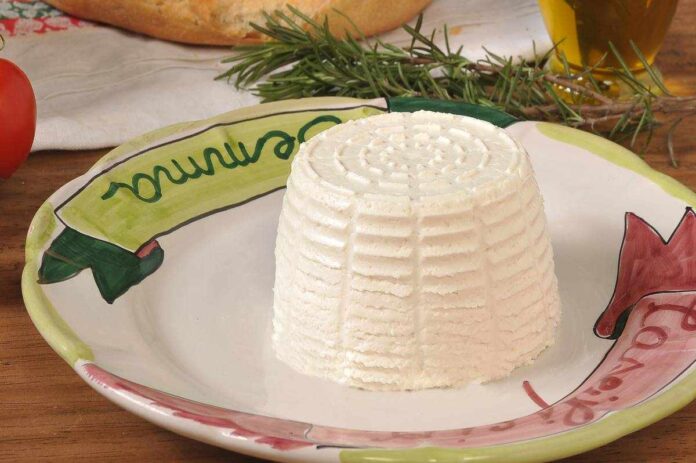 ricotta