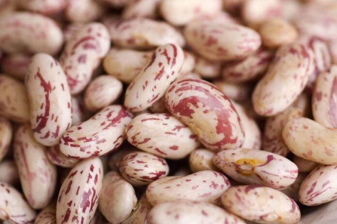 Fagioli