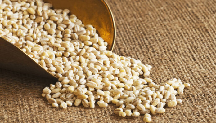 barley pearls