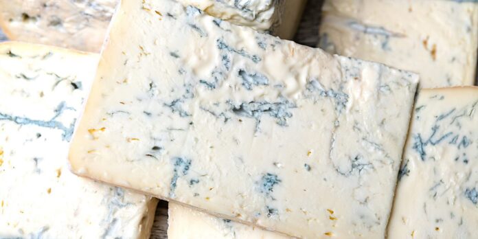gorgonzola