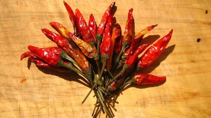 peperoncino