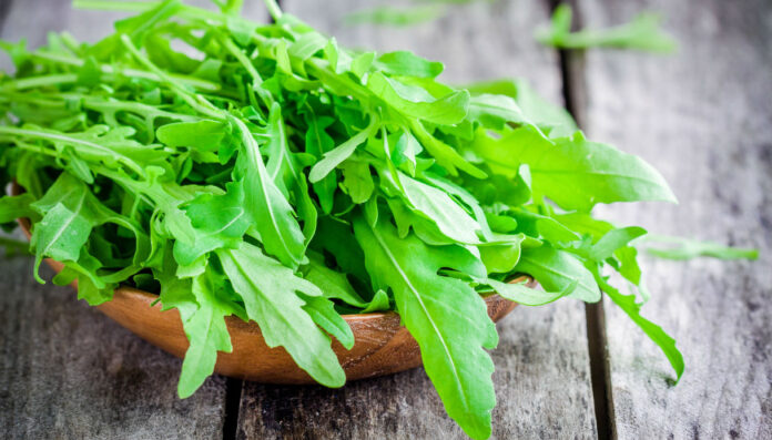 rucola