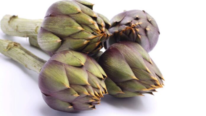 carciofi