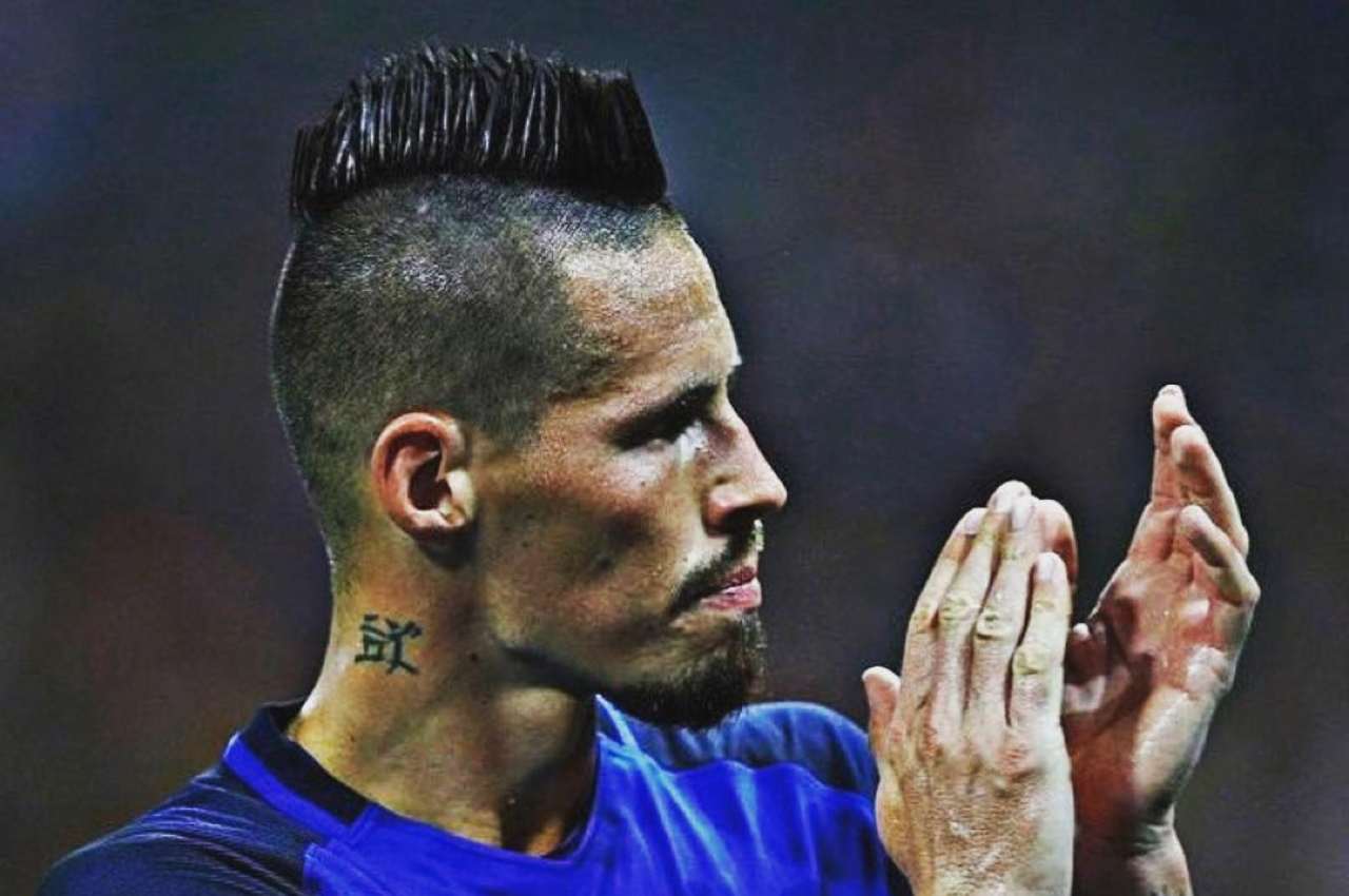 hamsik svezia