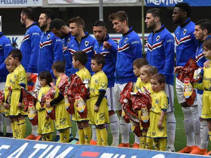 Samp schierata - Getty Images